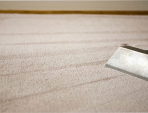 Will Professional Carpet Cleaning Work Better Than A Shampooer?